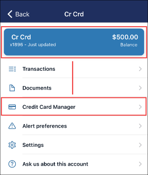 Credit Card Manager Screenshot on Mobile